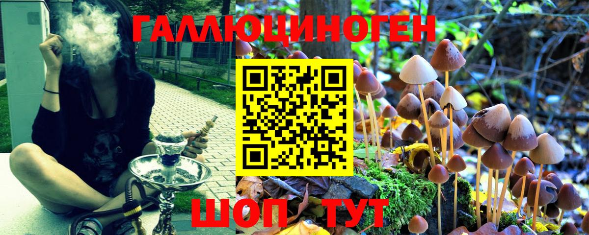Галлюциногенные грибы Psilocybe Дюртюли